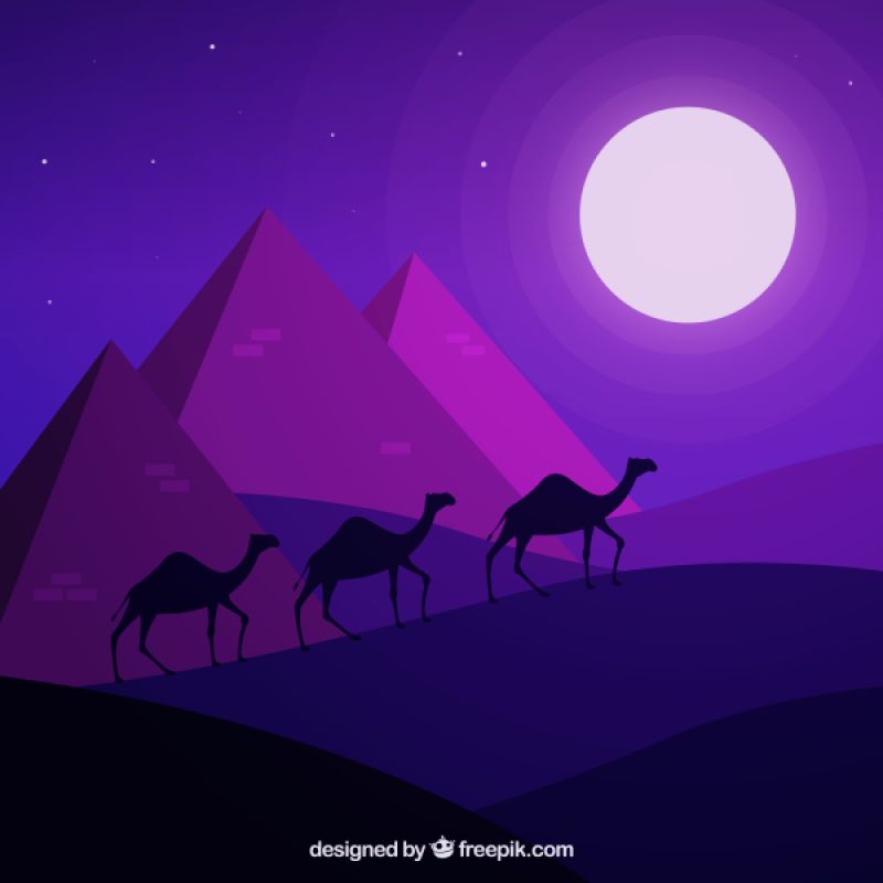 colourful cartoon pyramids with camels